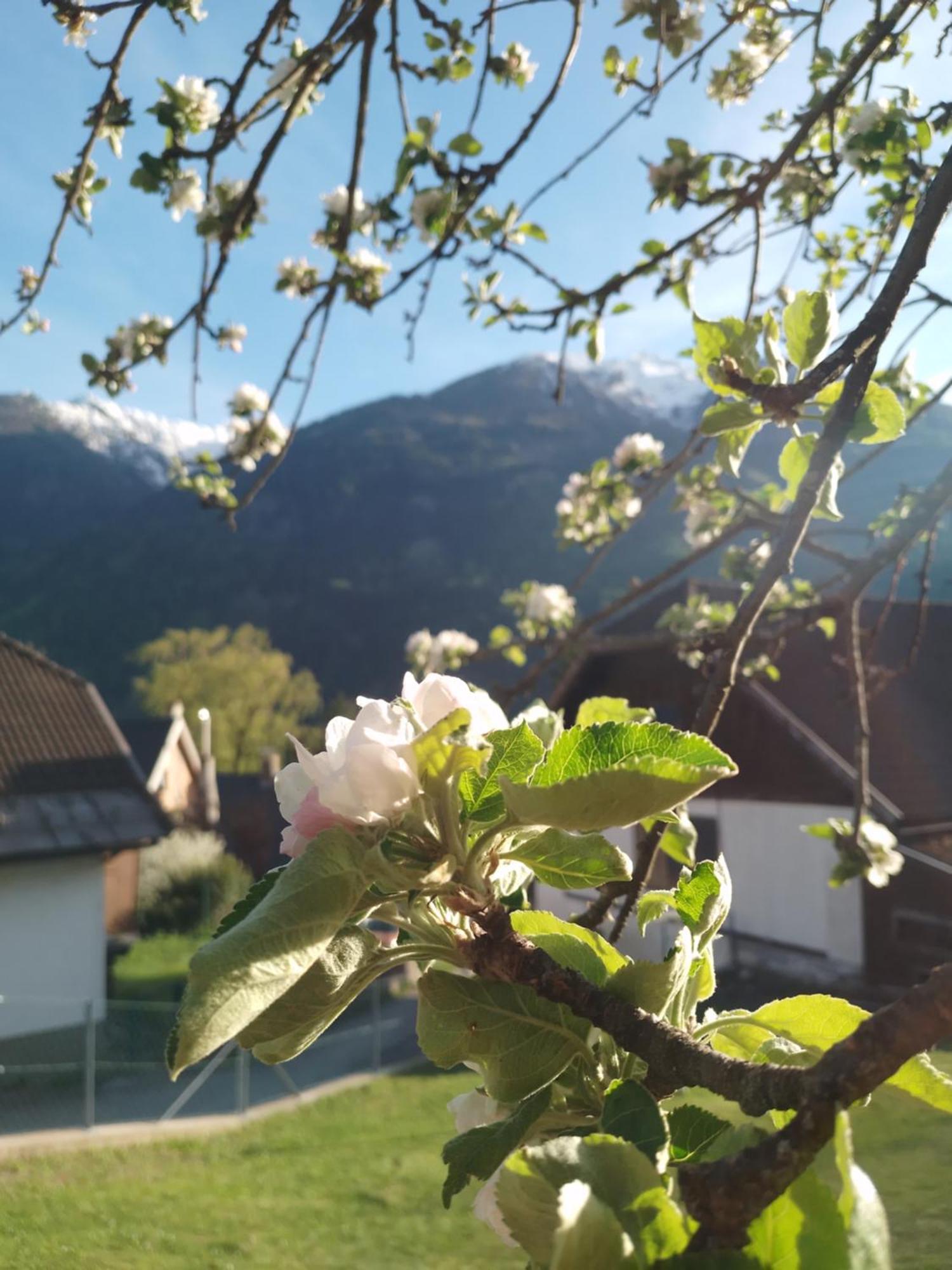 Ferienhaus Herrenschmiede Obervellach Exterior photo